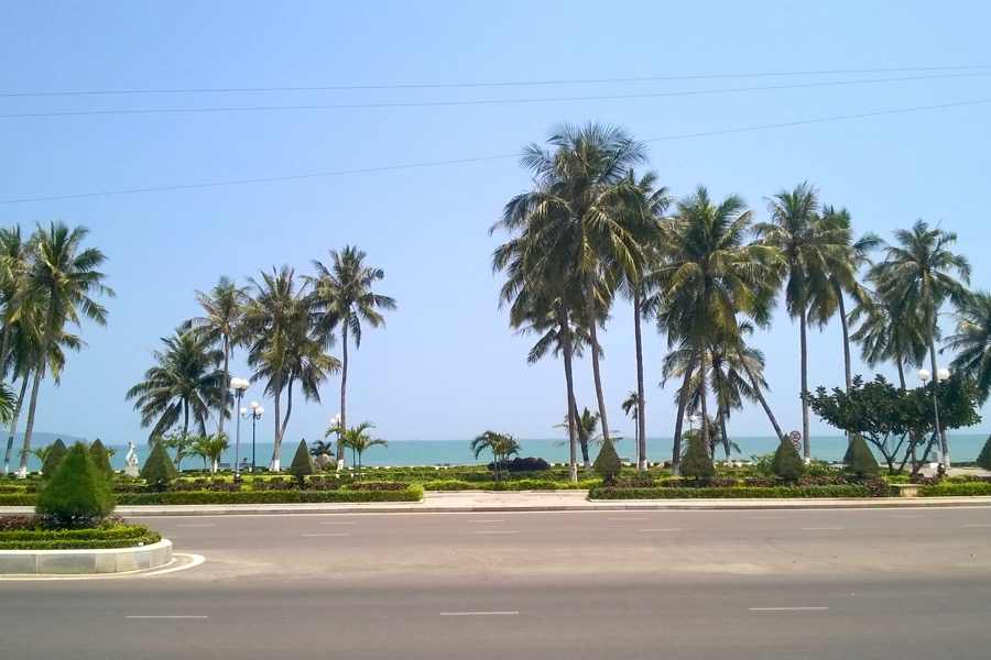Quy Nhon seaside with palm trees