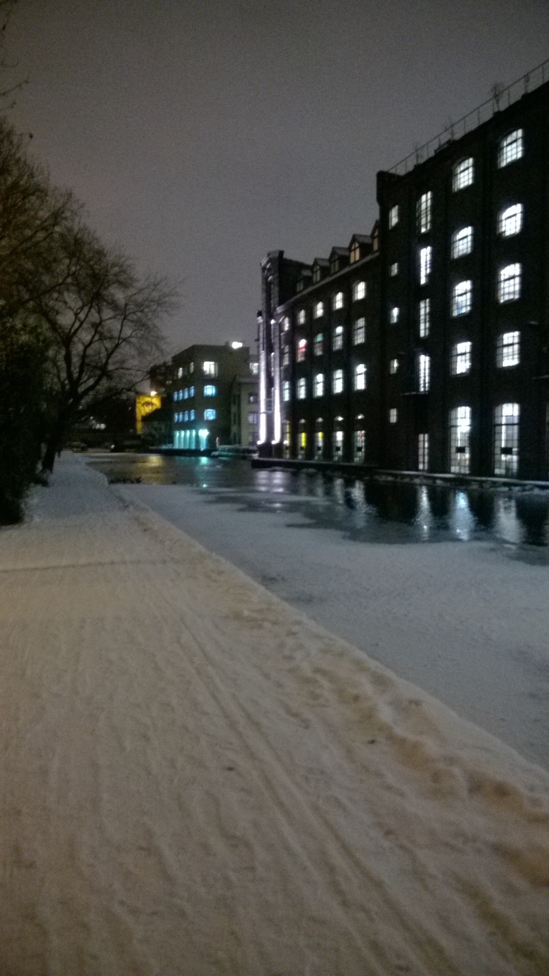 Regentʼs Canal has partially frozen